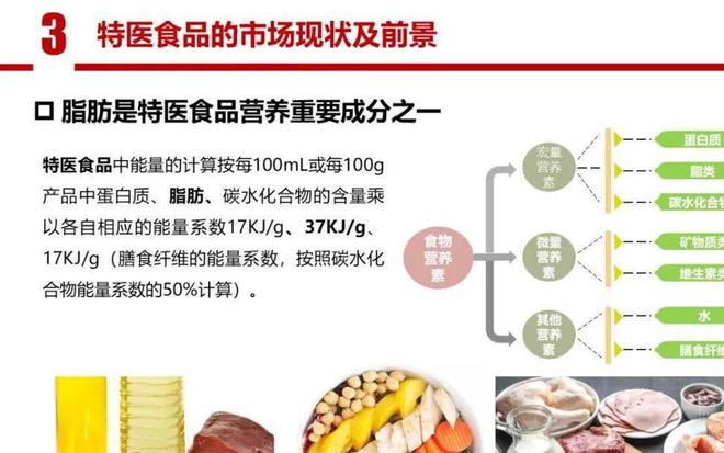 从特医食品视角审视功能食品的开发