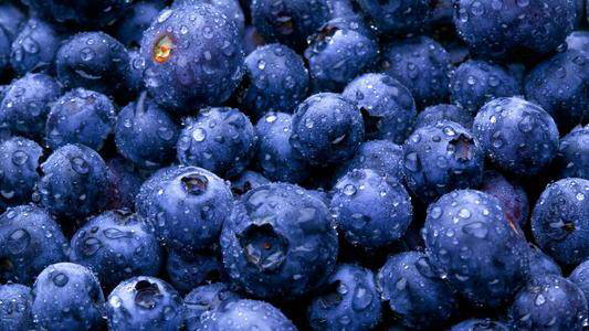 解读《关于蓝莓花色苷等14种“三新食品”的公告》