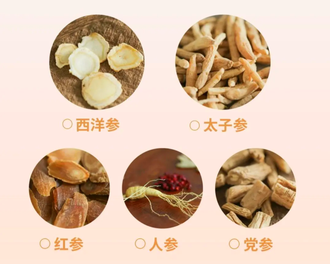 一分钟了解人参、西洋参等6种常见参